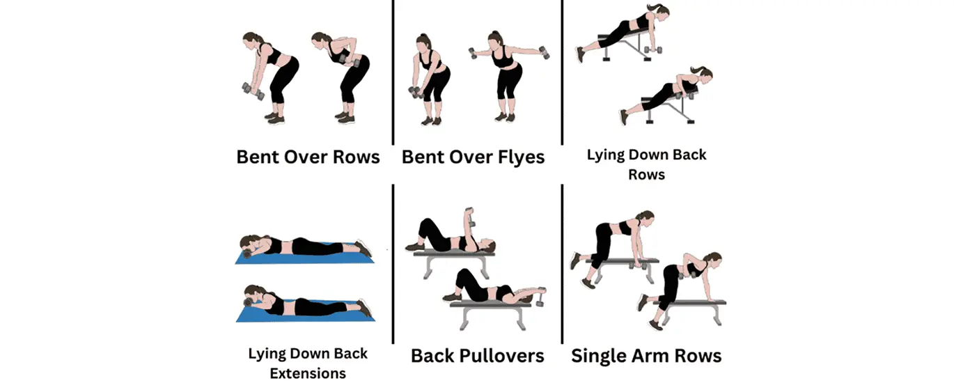back workout schedule