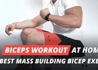 biceps workout at home
