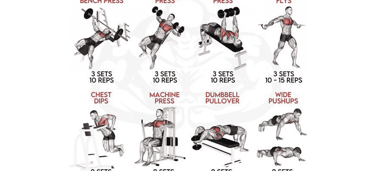 chest workout chart