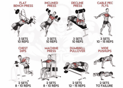 chest workout chart
