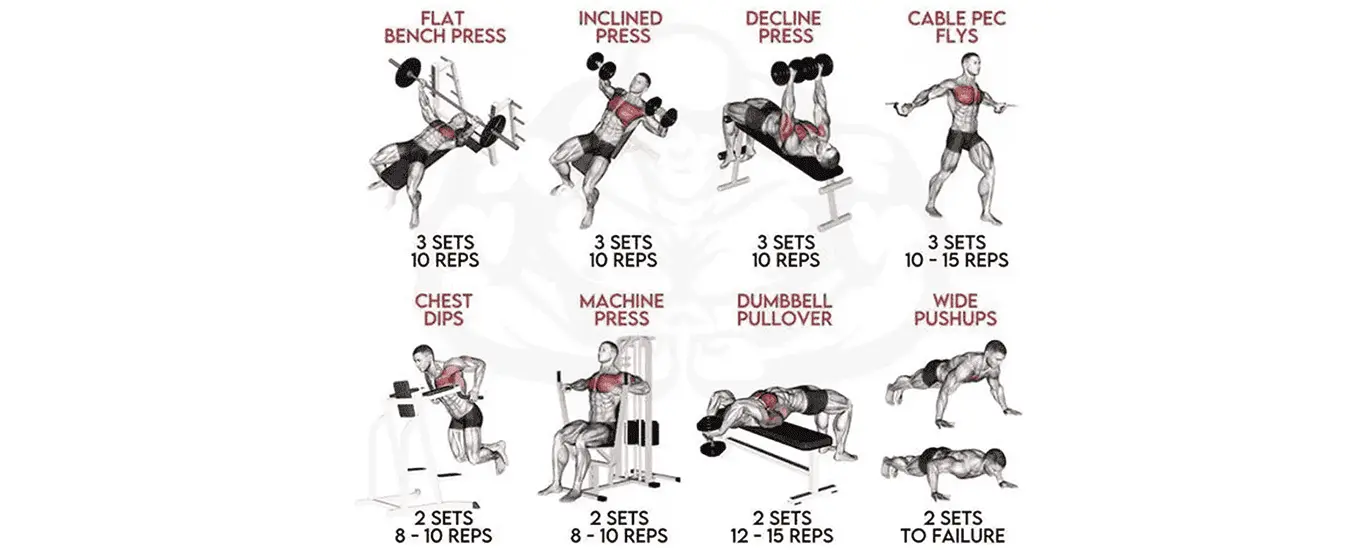 chest workout chart