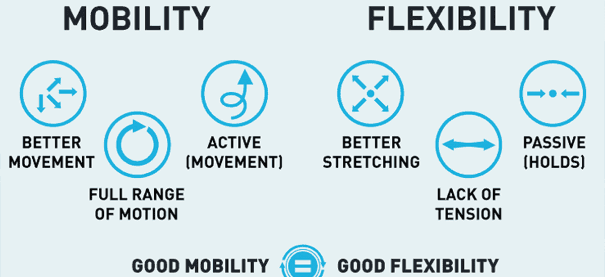 flexibility and mobility pic