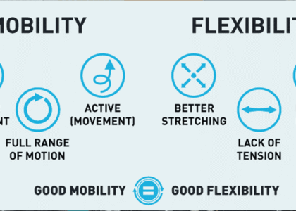 flexibility and mobility pic