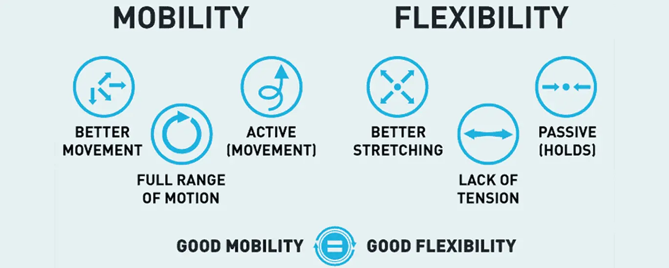 flexibility and mobability chart
