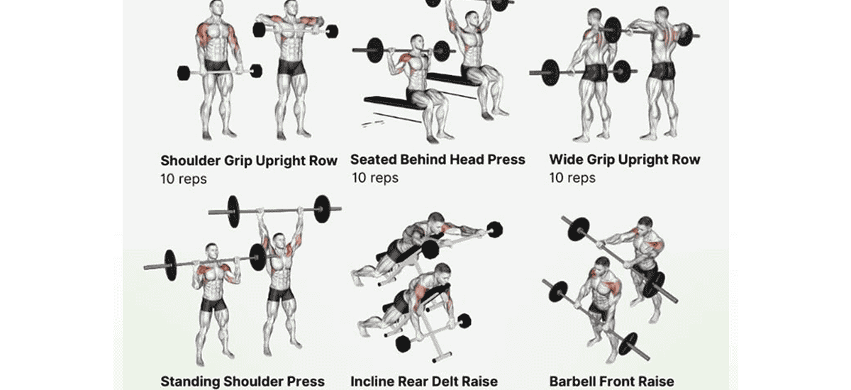 shoulder workout pic