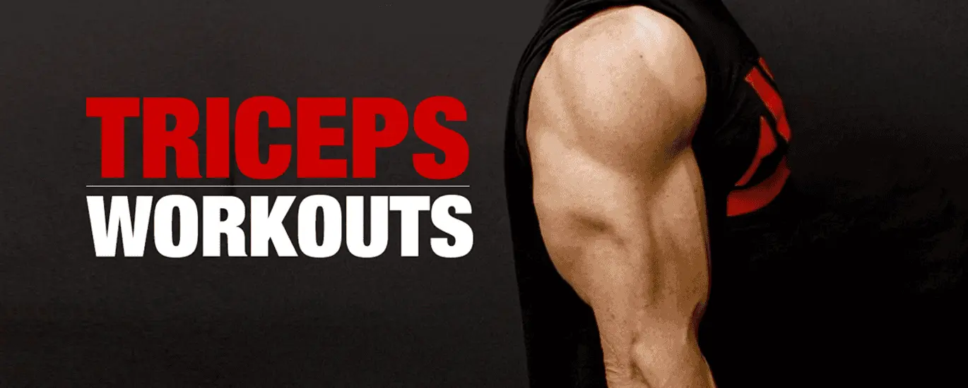 triceps exercises gym pic