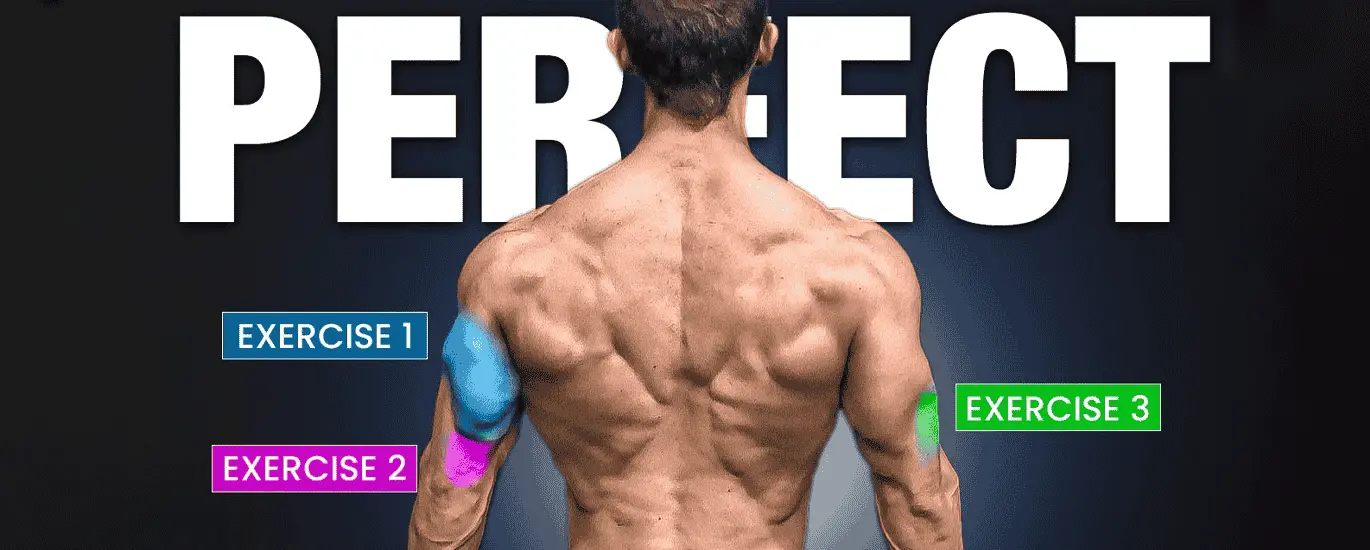 triceps training guide