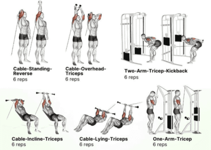 triceps workout pics