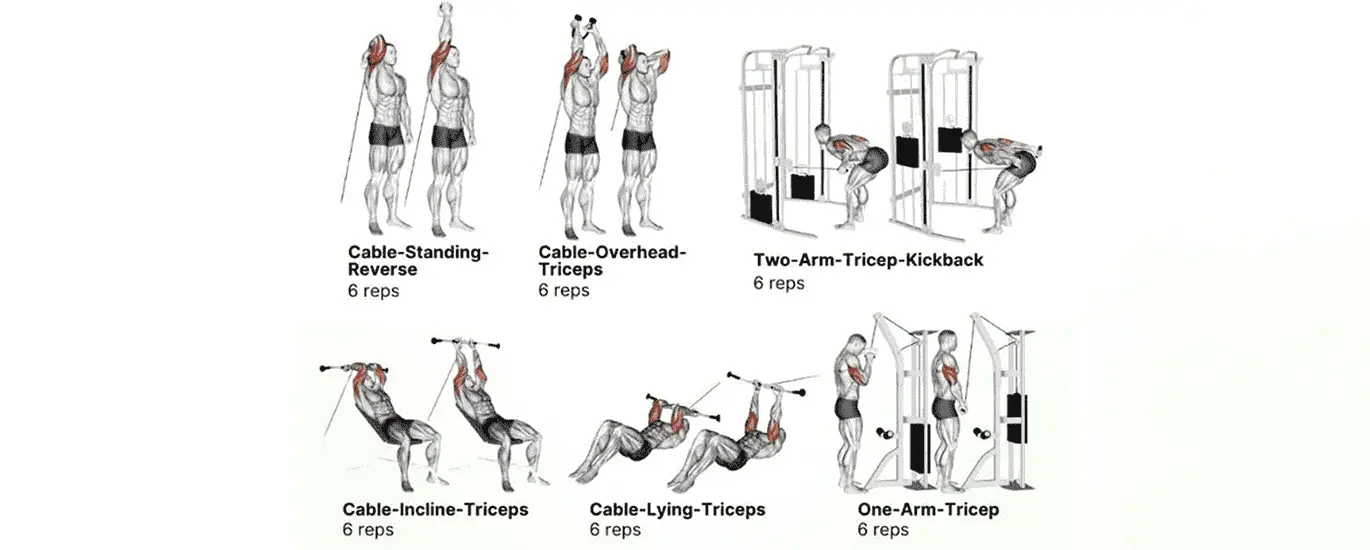 triceps workout pics